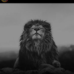 Meet your Posher, Judah